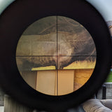ELK Target - Life Size Target for Archery or Rifle