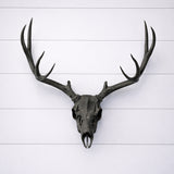 Life Size Deer Skull and Antlers Wall Mount Replica | Faux Taxidermy European Skull & Antler Decor