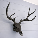 Life Size Deer Skull and Antlers Wall Mount Replica | Faux Taxidermy European Skull & Antler Decor