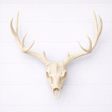 Life Size Deer Skull and Antlers Wall Mount Replica | Faux Taxidermy European Skull & Antler Decor