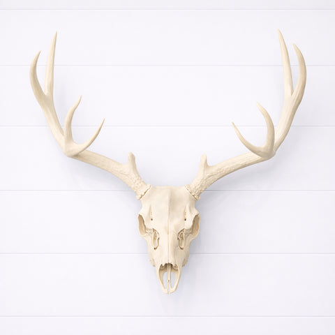 Life Size Deer Skull and Antlers Wall Mount Replica | Faux Taxidermy European Skull & Antler Decor