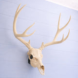 Life Size Deer Skull and Antlers Wall Mount Replica | Faux Taxidermy European Skull & Antler Decor