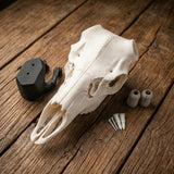 Deer Skull Antler Mount Bracket – DIY European Mount Kit