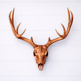 Life Size Deer Skull and Antlers Wall Mount Replica | Faux Taxidermy European Skull & Antler Decor