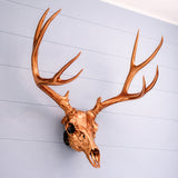Life Size Deer Skull and Antlers Wall Mount Replica | Faux Taxidermy European Skull & Antler Decor