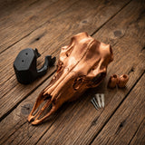 Deer Skull Antler Mount Bracket – DIY European Mount Kit