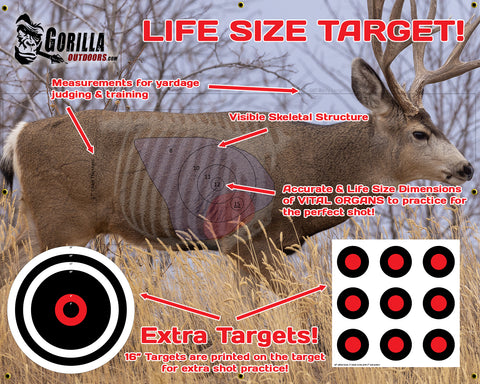 DEER Target - Life Size Deer Target for Archery or Rifle 3-in-1