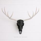 DIY European mount deer skull bracket with antlers