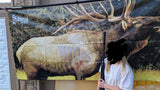 ELK Target - Life Size Target for Archery or Rifle