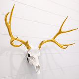 Life Size Deer Skull and Antlers Wall Mount Replica | Faux Taxidermy European Skull & Antler Decor