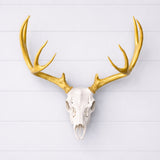 Life Size Deer Skull and Antlers Wall Mount Replica | Faux Taxidermy European Skull & Antler Decor