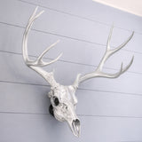 Life Size Deer Skull and Antlers Wall Mount Replica | Faux Taxidermy European Skull & Antler Decor