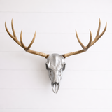 Deer Skull Antler Mount Bracket – DIY European Mount Kit