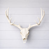 Life Size Deer Skull and Antlers Wall Mount Replica | Faux Taxidermy European Skull & Antler Decor