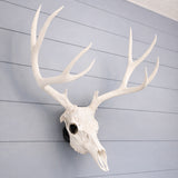 Life Size Deer Skull and Antlers Wall Mount Replica | Faux Taxidermy European Skull & Antler Decor